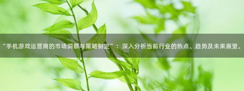 多彩娱乐平台注册：“手机游戏运营商的市场洞察与策略制定”：深