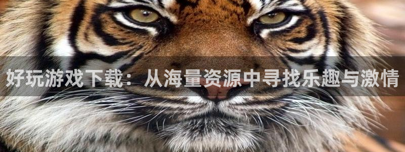 多彩娱乐2登录：好玩游戏下载：从海量资源中寻找乐趣与激情