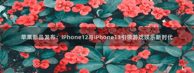 多彩娱乐网页登录入口：苹果新品发布：iPhone12与iPh