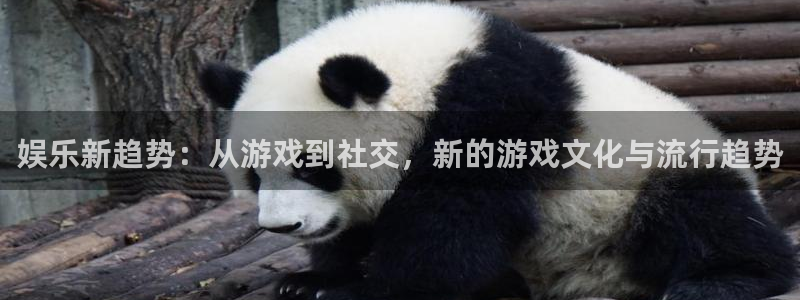 多彩娱乐怎么注册：娱乐新趋势：从游戏到社交，新的游戏文化与流