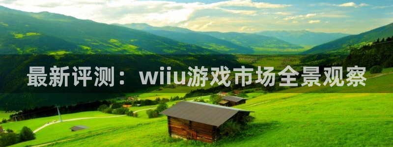 多彩娱乐平台官网登录：最新评测：wiiu游戏市场全景观察