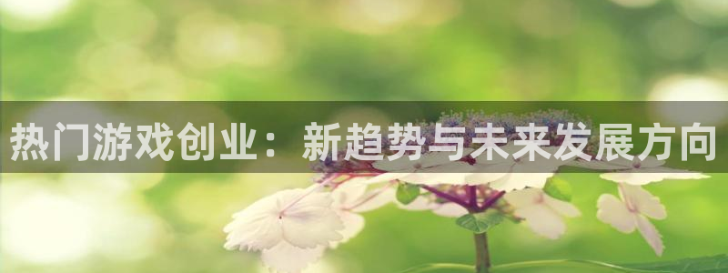 多彩娱乐官网登录：热门游戏创业：新趋势与未来发展方向