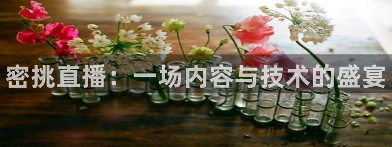 24直播 nba