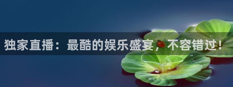 24直播网体育下载