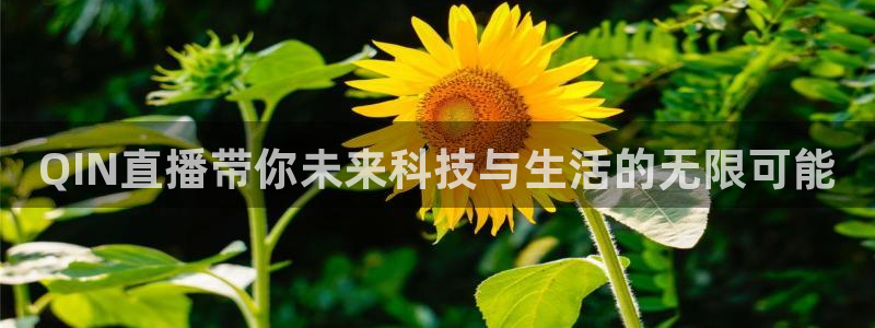 24直播吧nba在线直播jrs低调看直播：QIN直播带你未来科技与生活的无限可能