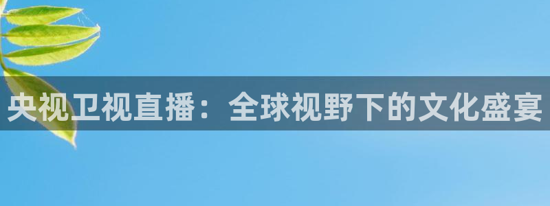 24直播 nba：央视卫视直播：全球视野下的文化盛宴