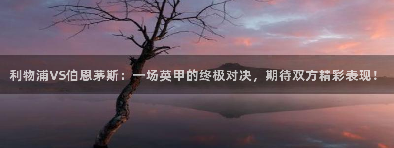 乐球直播24直播网：利物浦VS伯恩茅斯：一场英甲的终极对决，期待双方精彩表现！