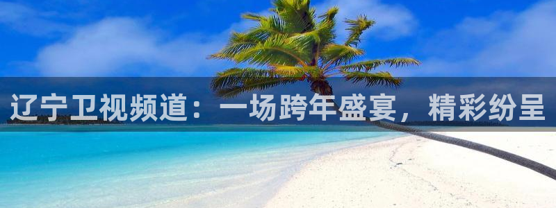 24直播网站：辽宁卫视频道：一场跨年盛宴，精彩纷呈